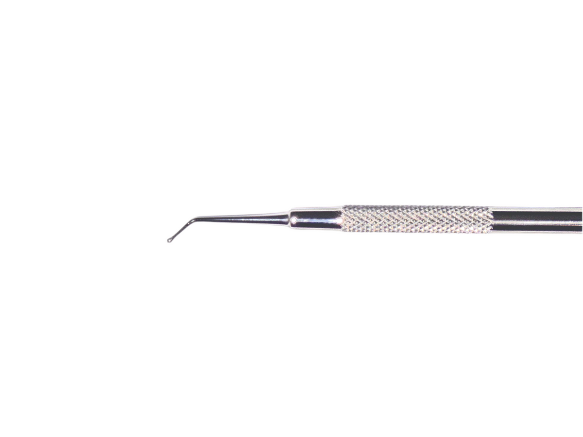 Dycal Applicator