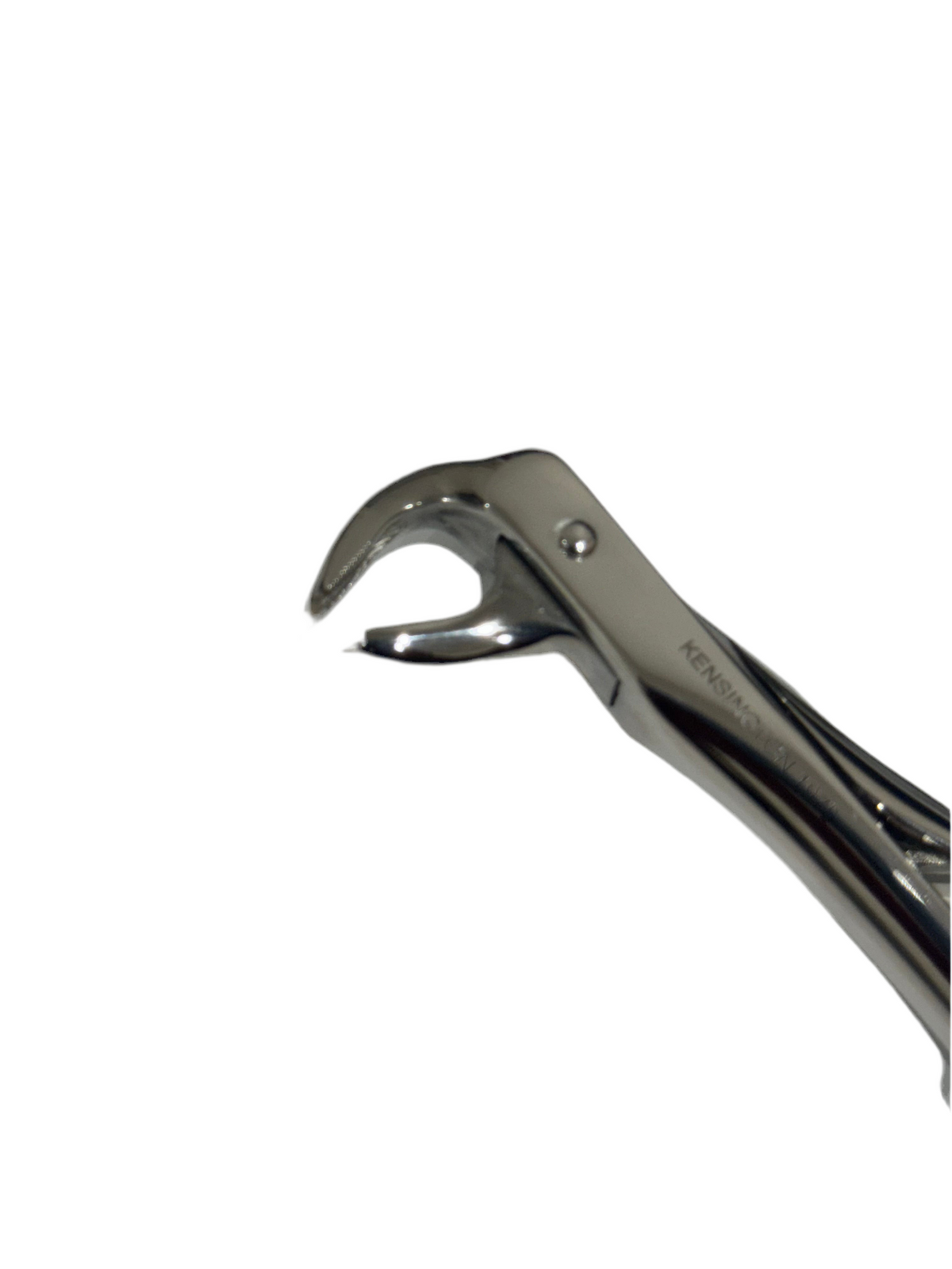  Extraction Forceps #73
