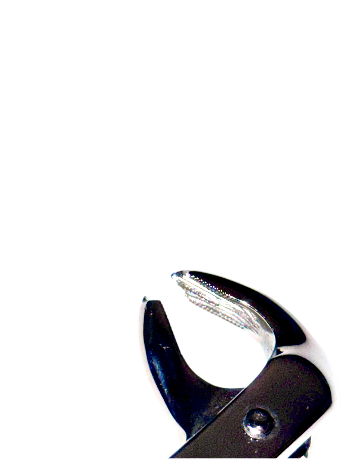 Forceps #73