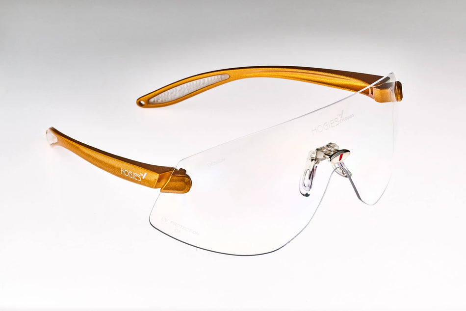 Hogies Safety Glasses