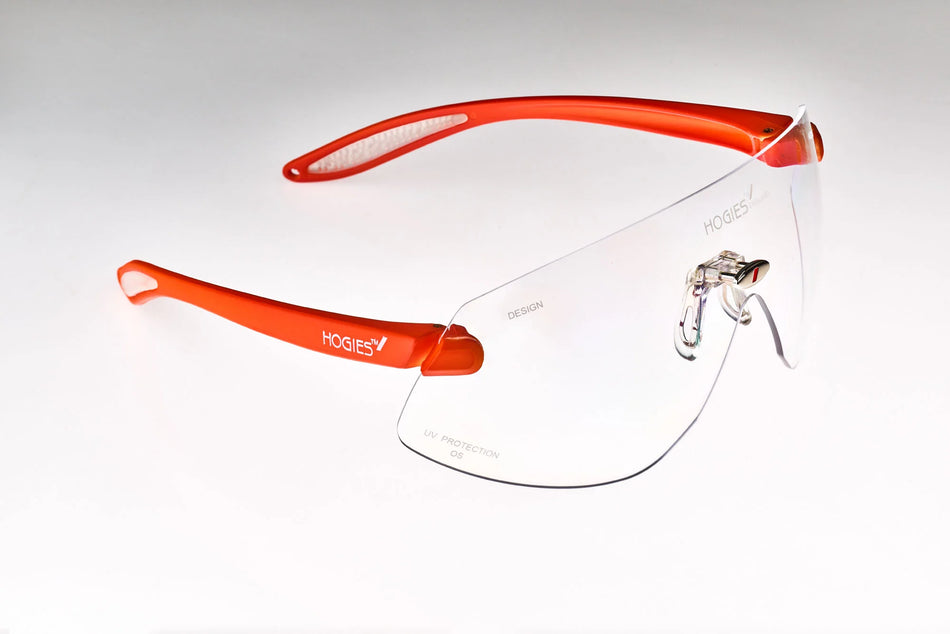 Hogies Safety Glasses