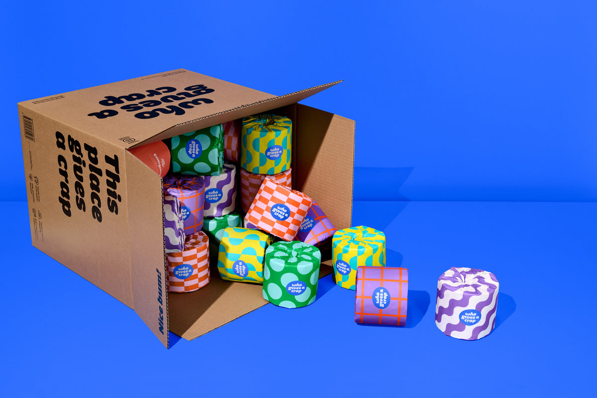 Individually wrapped recycled toilet paper rolls for hygiene and storage