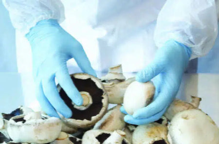 Latex free and powder free blue nitrile examination gloves suitable for sensitive skin and allergy prevention