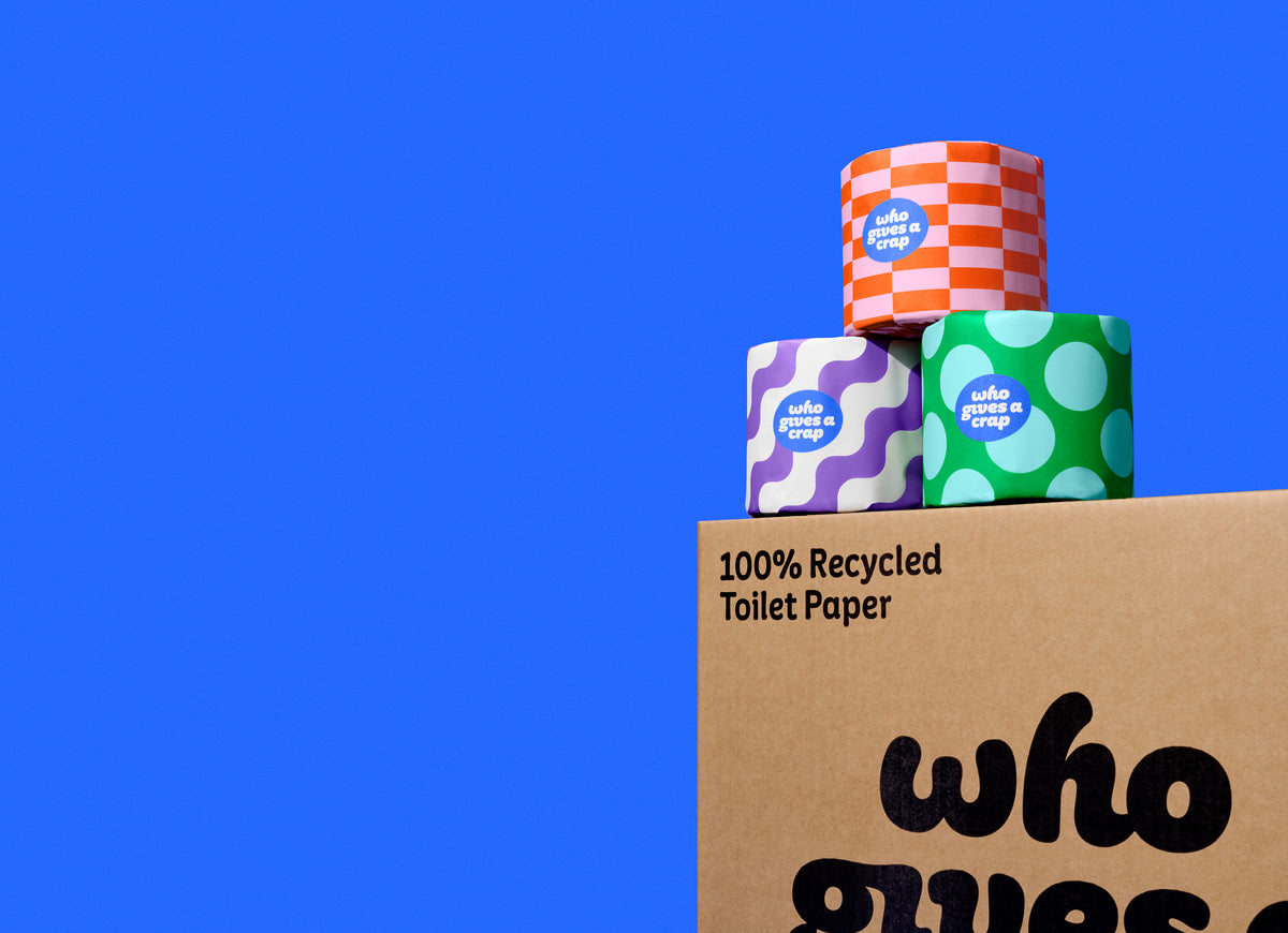 Long roll recycled toilet paper with more sheets per roll for better value