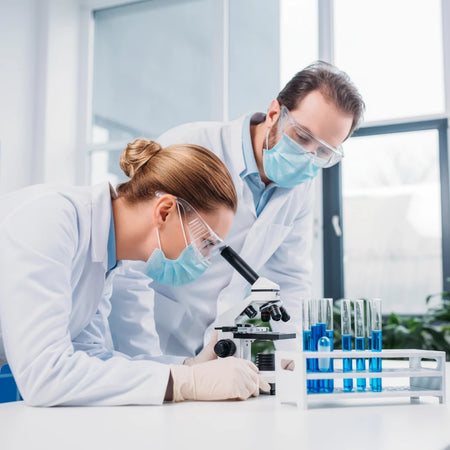 Scientists wearing Proval Securitex Premium Latex Examination Gloves while examining test tubes and microscope samples in a laboratory, demonstrating protective gloves for research and laboratory applications.